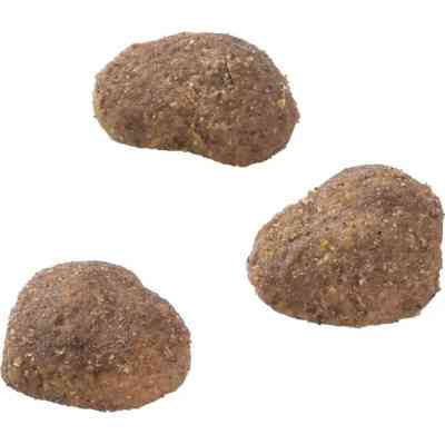 Лакомство для котов Brit Care Superfruits Lamb 100 г - ягнёнок (8595602555697) Винница