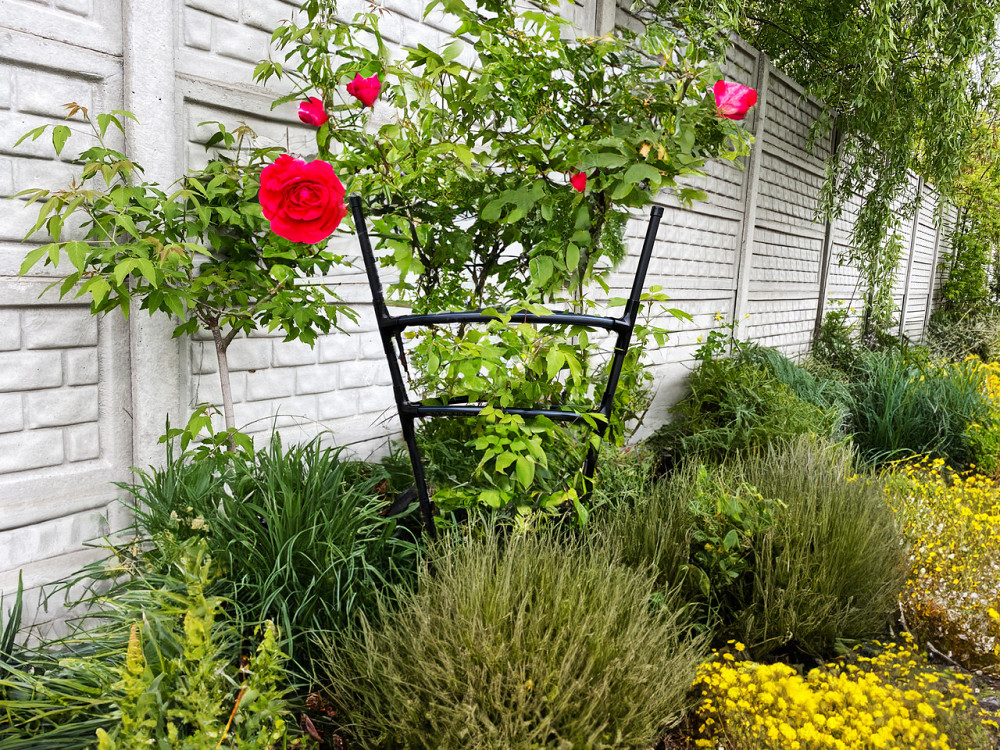 Опора для квітів та рослин Pinta Black. Підпірка для квітів на дачі. Кільцева опора для троянд Бориспіль - фото 10