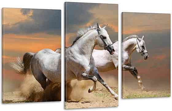 Модульна картина Природа Коні Art-81_3 Київ