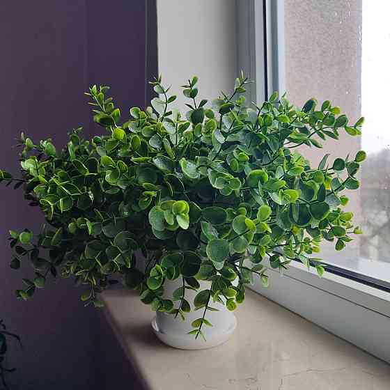 Штучний кущ  Самшиту із латексу Дніпро