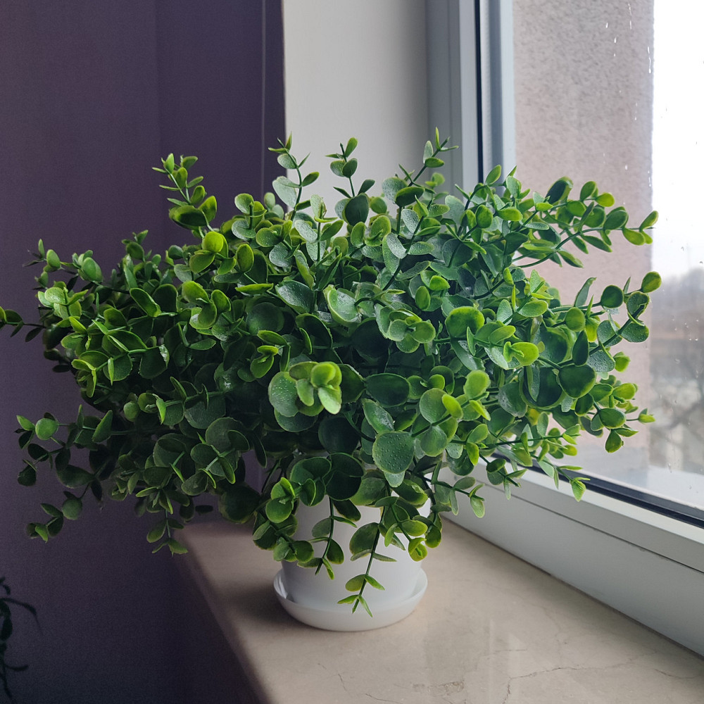 Штучний кущ  Самшиту із латексу Дніпро - фото 3