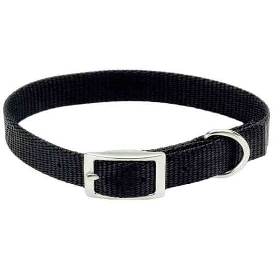 Coastal Nylon Web КОСТАЛ НАЙЛОН ВЕБ ошейник для собак, 1х25см Киев