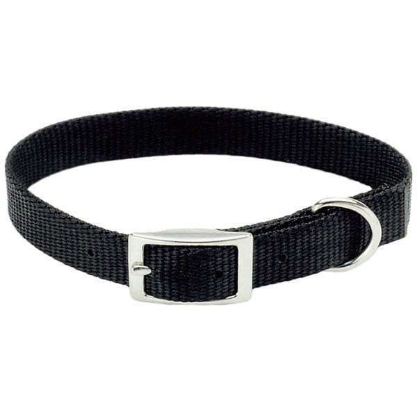 Coastal Nylon Web КОСТАЛ НАЙЛОН ВЕБ ошейник для собак, 1х25см Киев - изображение 1