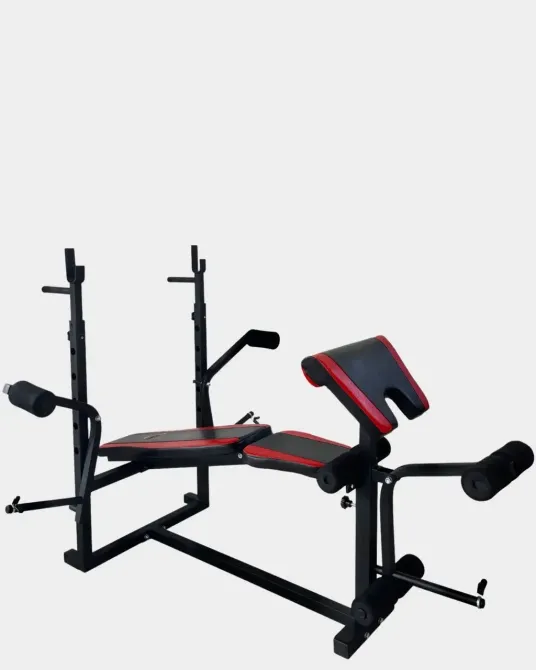 Скамья многофункциональная + Брусья + Парта Скотта Стойки, скамьи для жима и приседаний регулируемая Киев - изображение 3