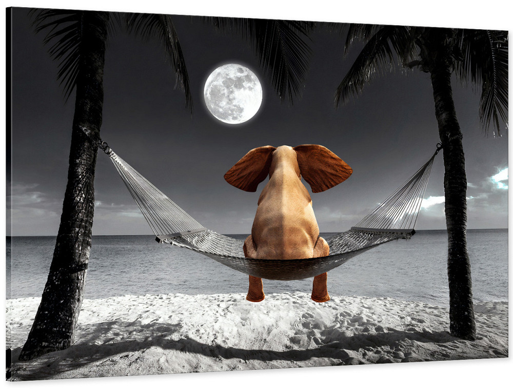 Картина холст в гостиную / спальню Слоник  на пляжі    MLP_4 60x100 см Киев - изображение 1