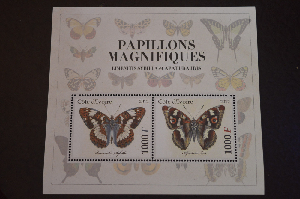 Кот-д’Ивуар. Фауна. Блок. 2015 год (В-6) Полтава - изображение 1