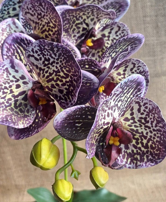 Штучна латексна орхідея VIP у жовтому керамічному кашпо на одну гілку фіолетово-жовта Дніпро - фото 3