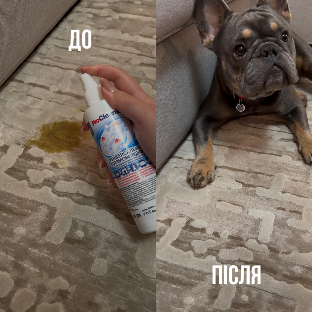 Плямовивідник для текстильних поверхонь (250 мл) Павлоград - фото 6