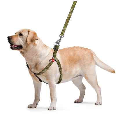 Шлея для собак WAUDOG Nylon з QR-паспортом "Мілітарі" S (330-4026) Вінниця