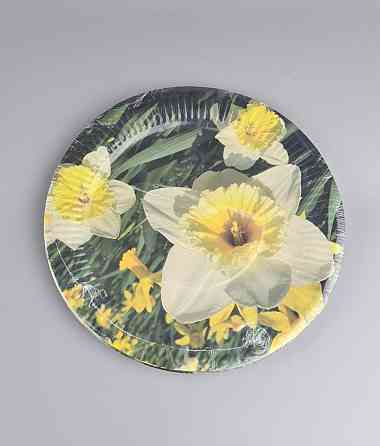 Тарілка паперова 23 см "No61 10 шт (1 пачка) Харків