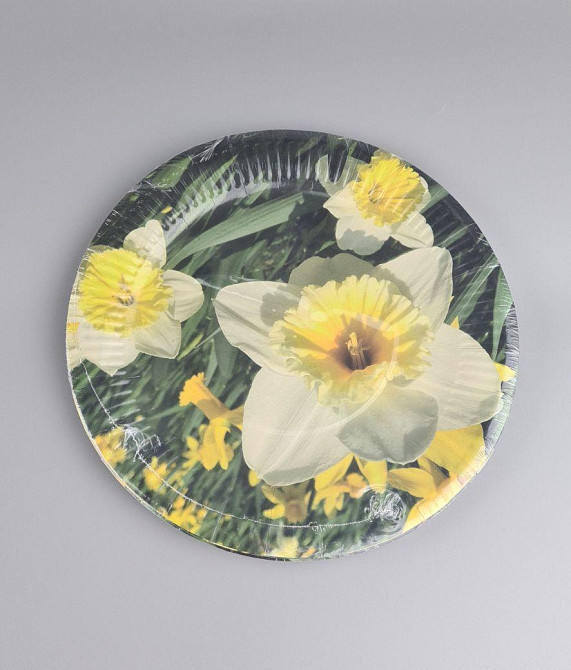 Тарелка бумажная 23см