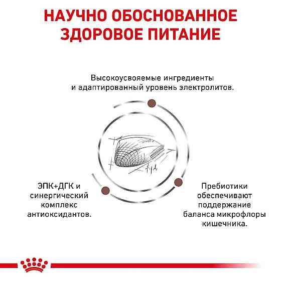 Royal Canin Gastrointestinal (Роял Канін Гастроінтестинал) сухий корм для кішок у разі розладів травлення Запоріжжя