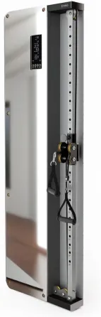 Тренажер Hms Bsp301 Brama Przyścienna Treningowa Pneumatyczna Commercial Киев