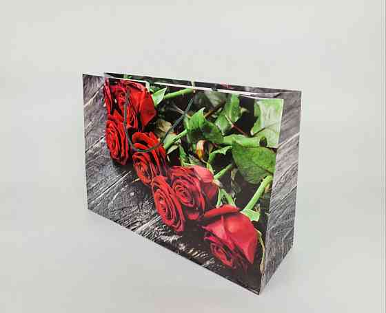 Паперовий пакет горизонтальний гігант 46*33*15 (артGG-069) (12 шт.) Харків