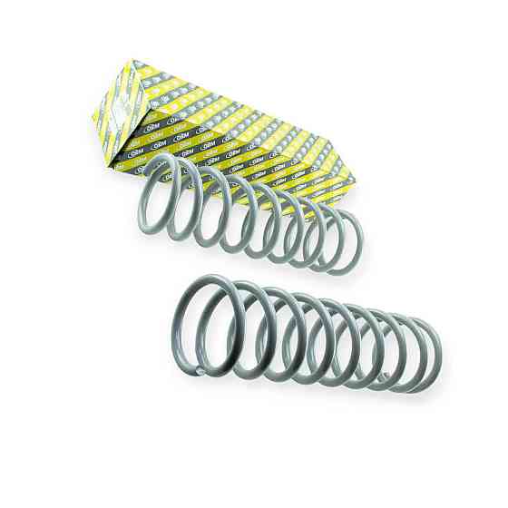 Пружина підвіски 2123 (к-кт 2 шт) - задній Мукачево