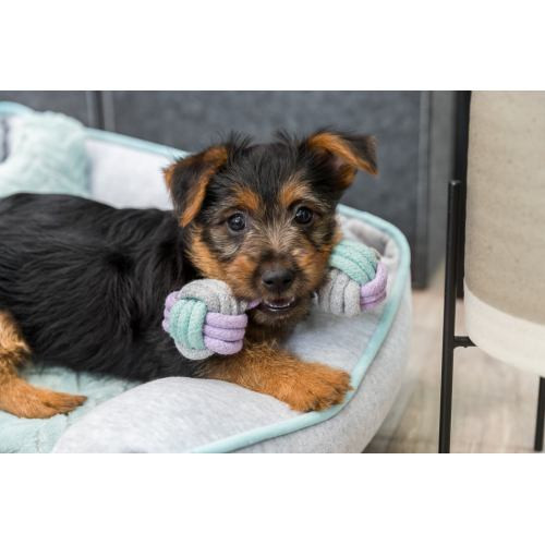 Іграшка Trixie Junior Rope Dumbbell для цуценят Гантель з канатом котон 15 см Київ - фото 3