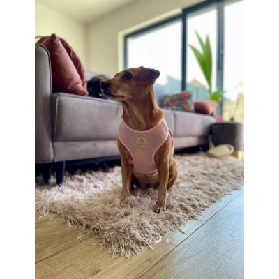 Шлей для собак Chloe's Home Dakar рожева XS (CLH8744) Винница - изображение 4