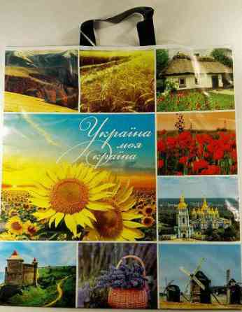 Пакет с петлевой ручкой (42*47+3 )60 мкм