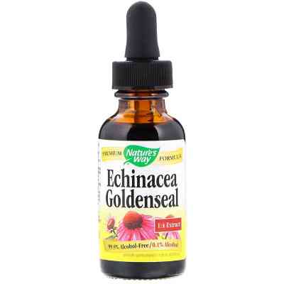 Трави Nature&apos;s Way Ехінацея і Гідрастіс, Echinacea Goldenseal, без спирту, 30 м (NWY-14663) Вінниця