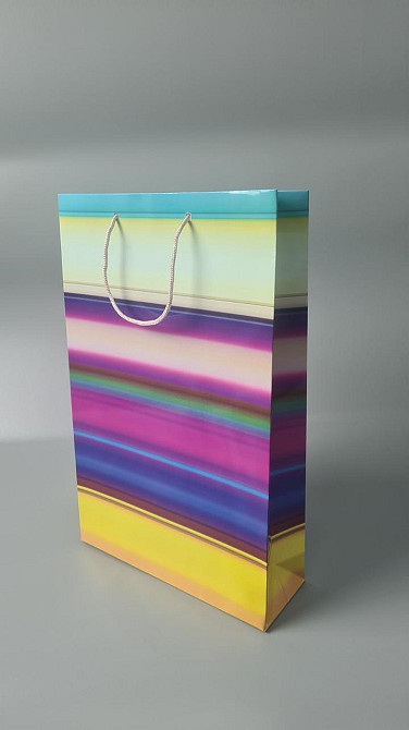 Великий паперовий пакет вертикальний 25/37/8 (артBV-179) (12 шт.) Харків - фото 1