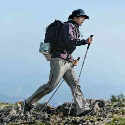 Треккинговые палки Naturehike CNK2450DS016, 110 см, фіолетова (6927595777718) Винница