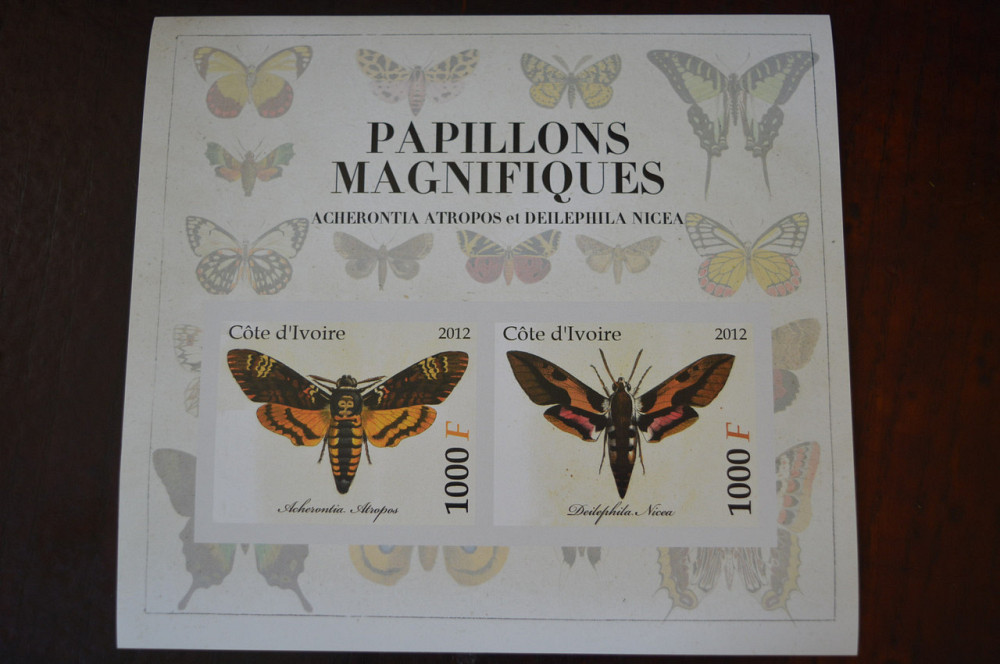 Кот-д'Івуар. Фауна. Личности. Блок. (А-35) Полтава - фото 1