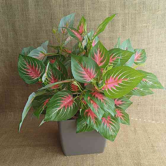 Штучний кущ аглономи із латексу Дніпро