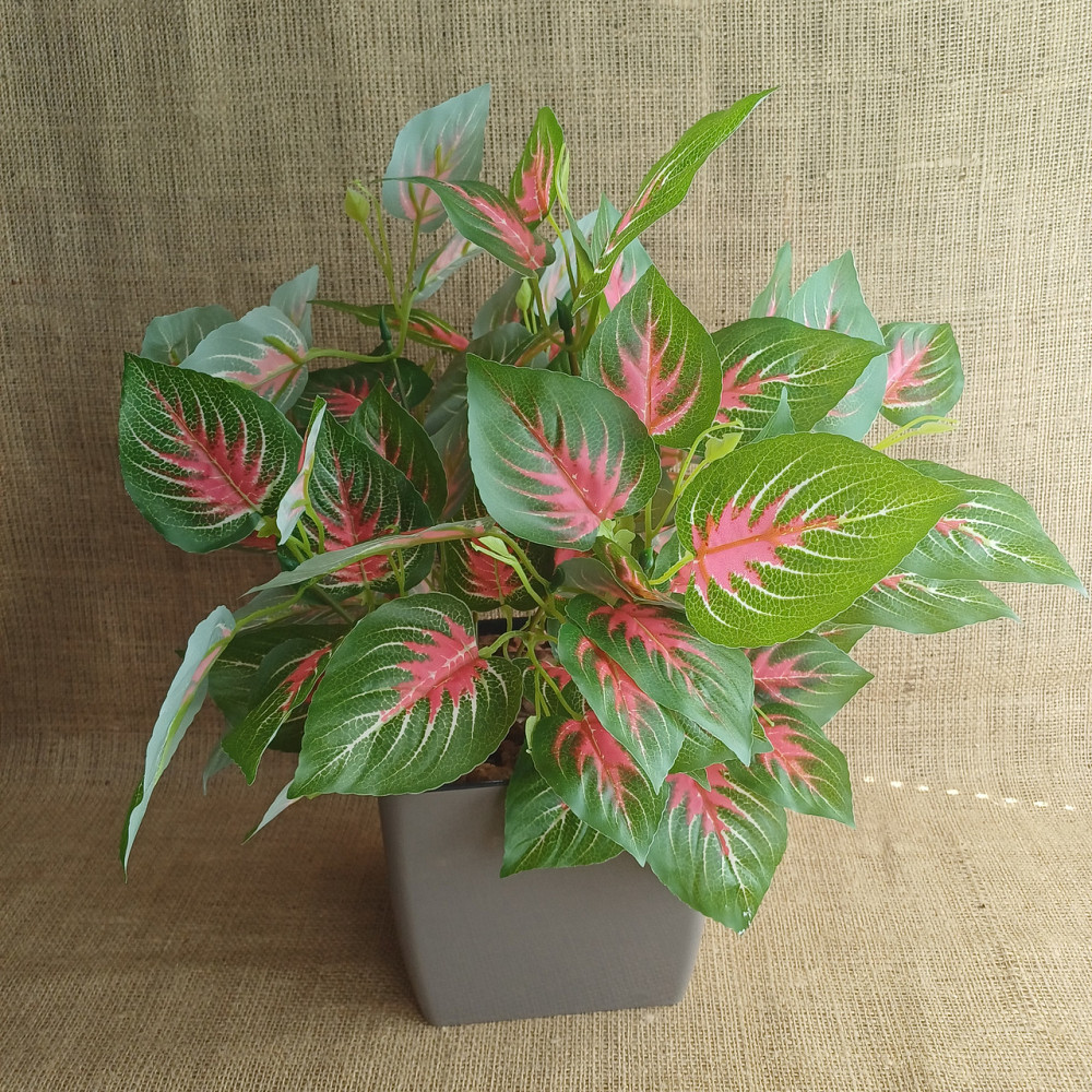 Штучний кущ аглономи із латексу Дніпро - фото 1