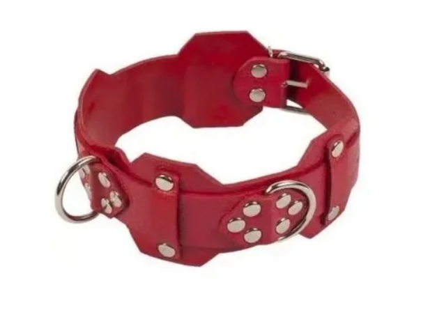 Ошейник VIP Leather Collar, RED Sex Aura Киев - изображение 1