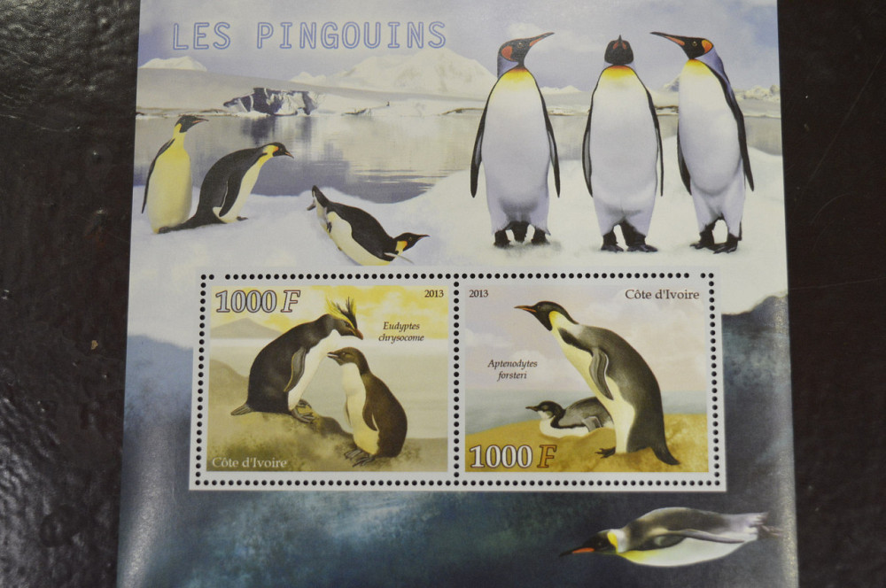 Кот-д’Ивуар. Фауна. Марки. Блок. 2012 год (И) Полтава - изображение 1