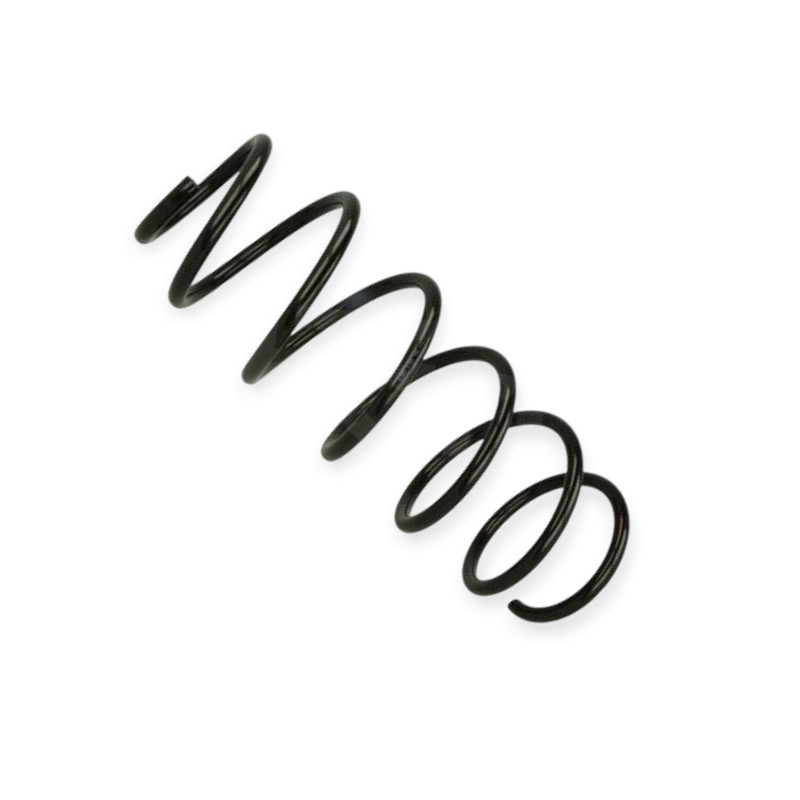 Пружина Ford Mondeo (00-07) (седан, HB) задня Мукачево - фото 1