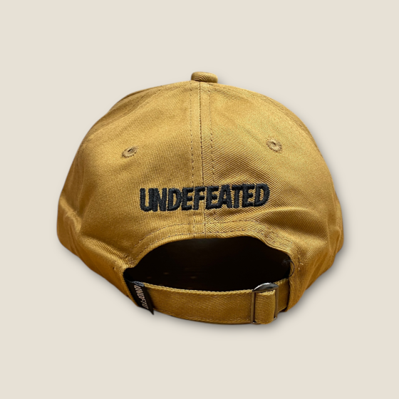Кепка Bape x Undefeated. коричневий one size (р) Запоріжжя