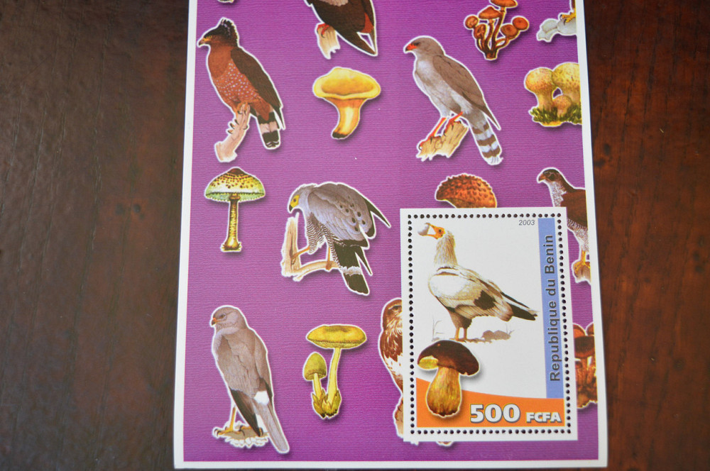 Фортеп. Фауна. Личности. Блок. (А-35) Полтава - фото 1