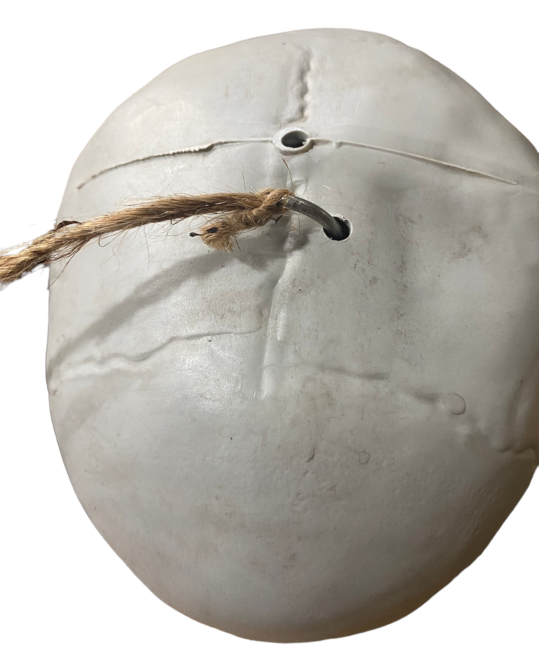 Анатомічний скелет людини RESTEQ 170 см — велика навчальна модель із ПВХ з рухомою щелепою, білий Київ - фото 5