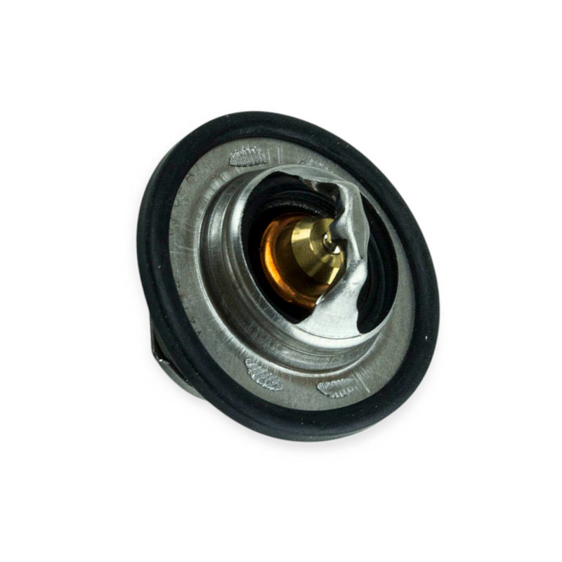 Термостат Largus вставка Логан, Мукачево - фото 1