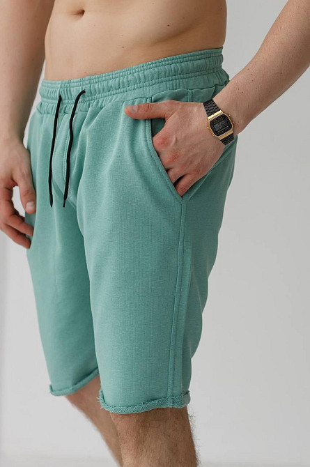 Шорти чоловічі трикотажні Фісташковий S Харків - фото 7