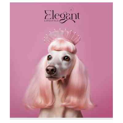 Зошит Школярик Elegant portrets 48 аркушів клітинка (048-3309K) Вінниця