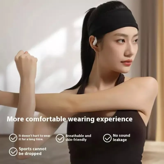 Беспроводные наушники ACEFAST FA002 Black Киев