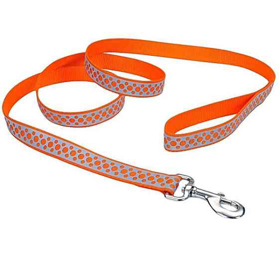 Coastal Lazer Brite Reflective Leash КОСТАЛ ЛАЗЕР БРАЙТ світловідбивний повідець для собак, 1.6смХ1.2м Київ