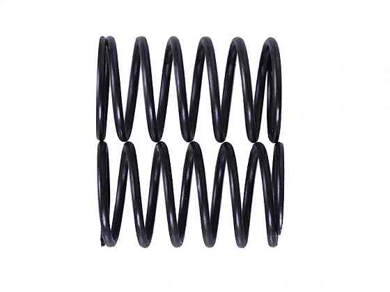 Пружины клапанов мотоблок P70F (ZS) Мукачево