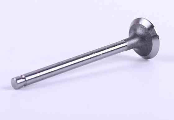 Клапан випускний ZN490BT ZN390 ZN485 ДонгФенг 404 Chery 244/354/404 Мукачево