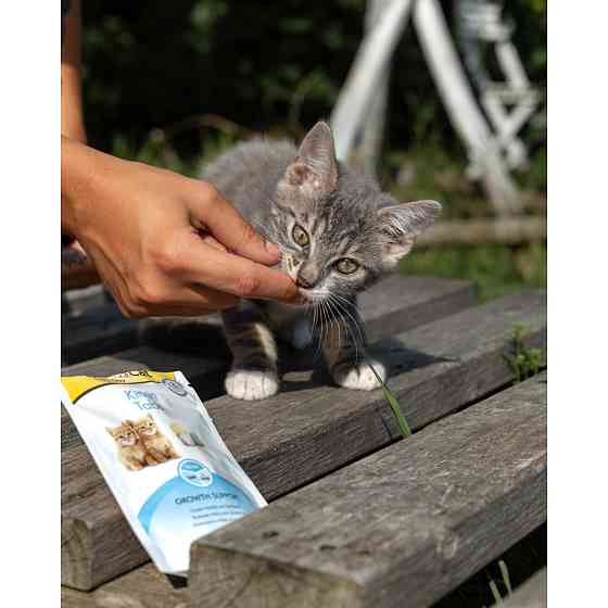Витаминизированное лакомство GimCat Every Day Kitten для котят, 40 г Винница