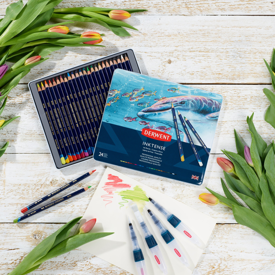 Чернильные карандаши Inktense 24кол Derwent Киев
