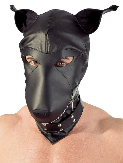 Маска - 2490099 Fetish Collection Dog Mask Black Sex Aura Київ - фото 1