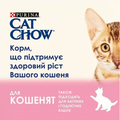 Влажный корм для кошек Purina Cat Chow С Ягненком и Цуккини в желе 85 г (8445290426536) Винница - изображение 7