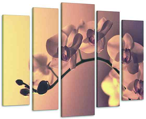Модульная картина Орхидея Art-203_5 99x140 см Киев