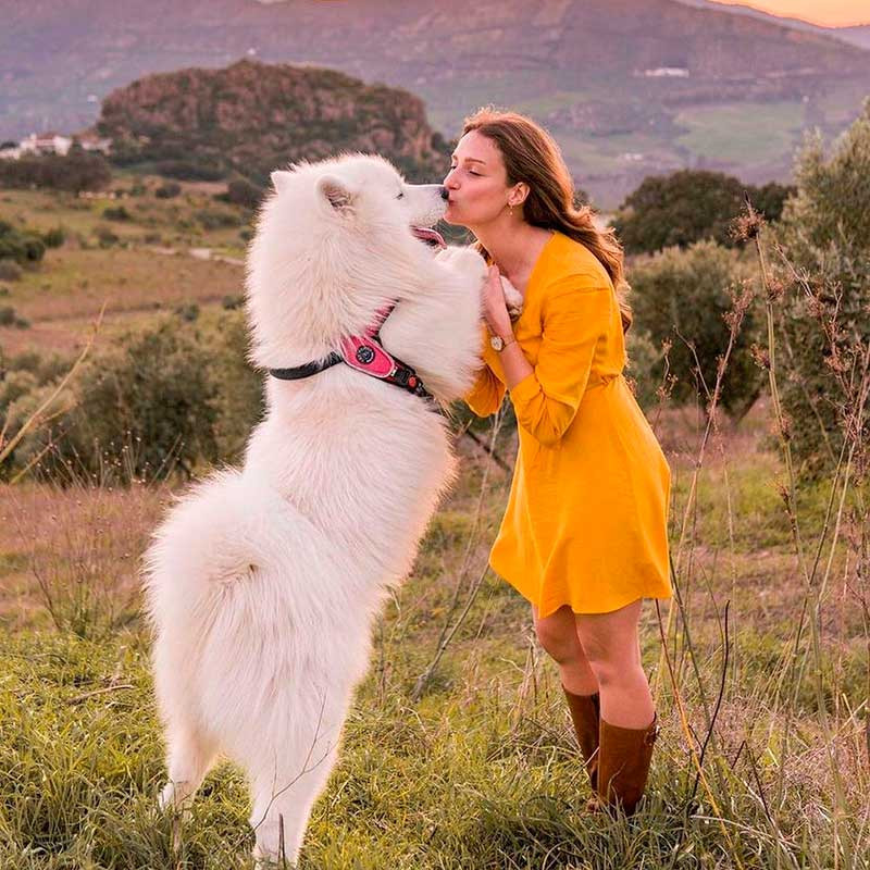 Шлея для великих собак Tre Ponti Size XL Red Луцк - изображение 3