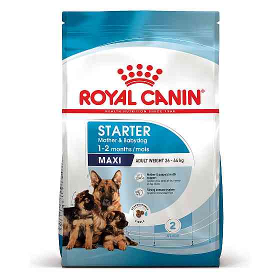 Корм для новорожденных щенков больших пород собак ROYAL CANIN MAXI STARTER 4 кг Киев