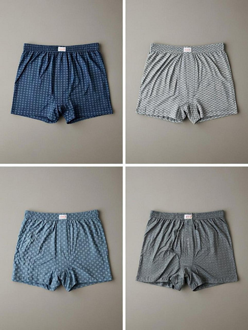 Комплект чоловічих сімейних трусів Doremi (4 шт.). Розмір від 2(M) до 7(4XL) 6 (3XL) Київ - фото 1