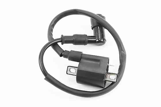 Котушка запалювання з насвічником ATV 250, тип 1 Київ